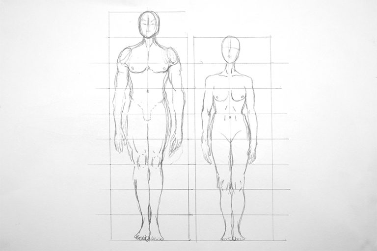 How To Draw Human Proportions Scale The Figure Correctly