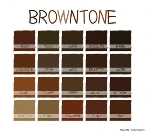 Brown Color Palette 500x452 