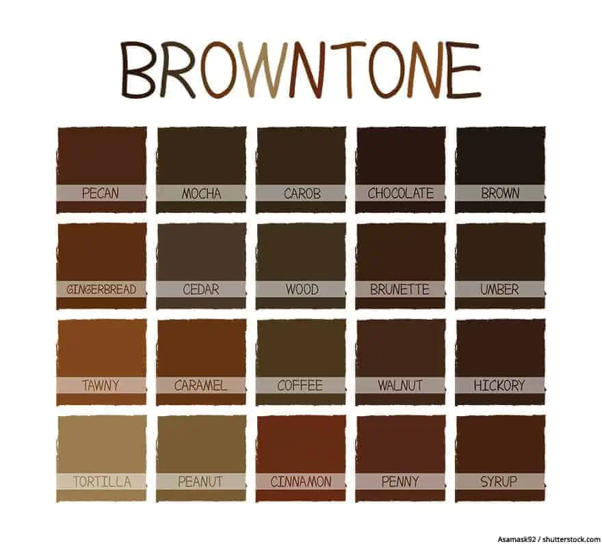 How To Make Brown Paint Learn What Colors - How To Make Brown Paint From Primary Colors