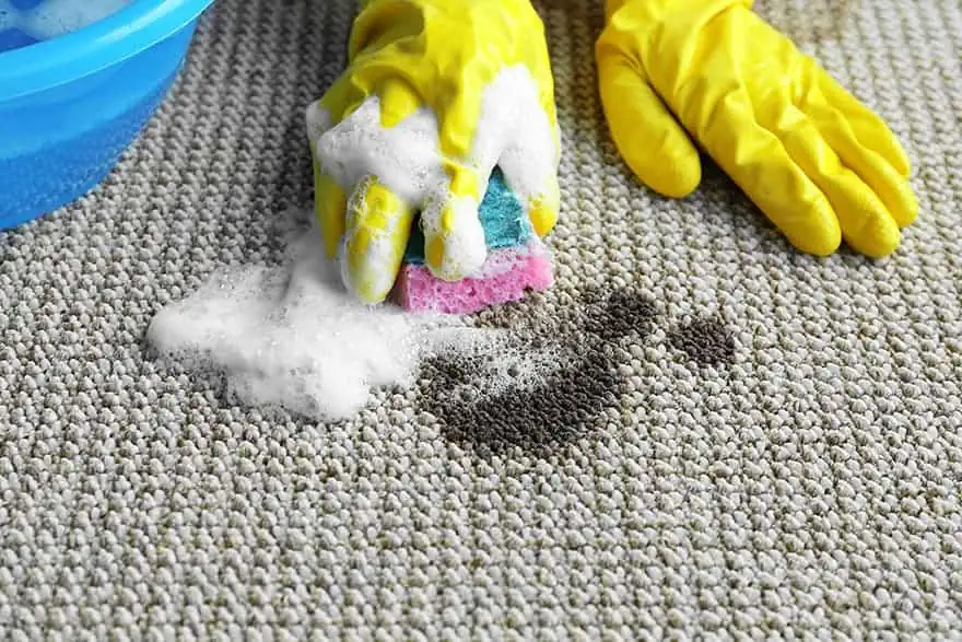 get acrylic paint out of carpet