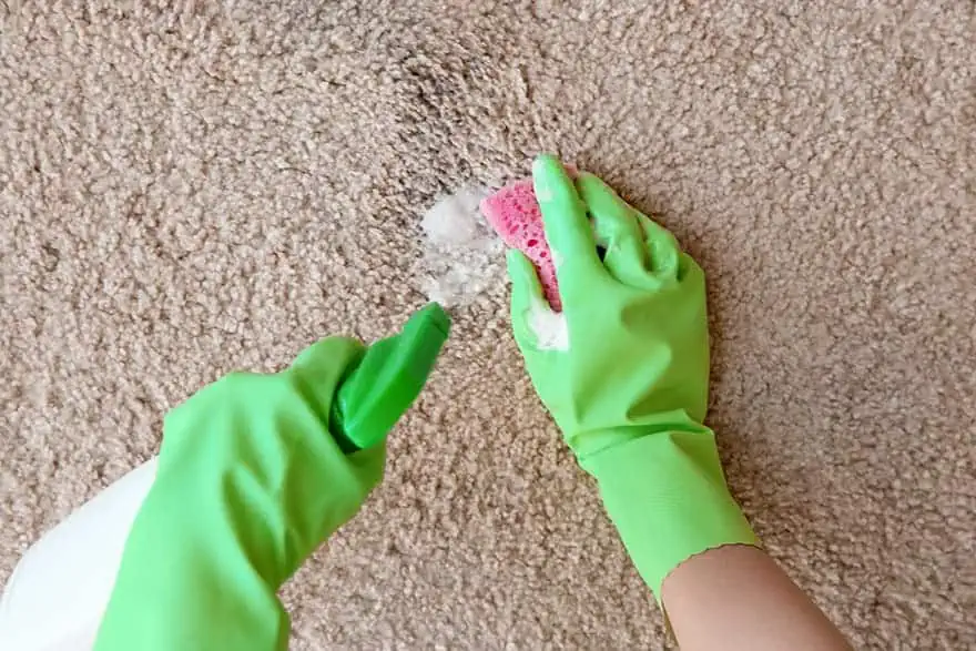 How to Get Acrylic Paint Out of Carpet Remove Paint from