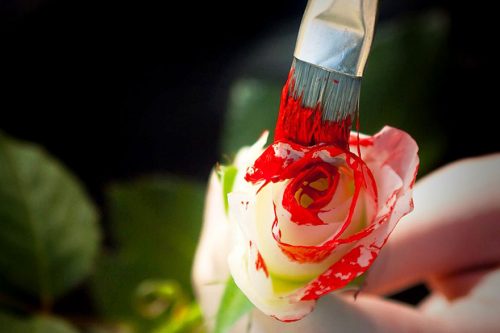What Colors Make Red? – How to Make Different Shades of Red