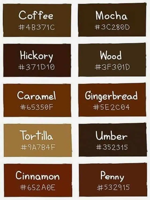 Brown Color Pallette – Most Popular Shades