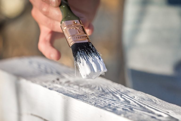How Long Does It Take Gesso to Dry? Our Complete Guide