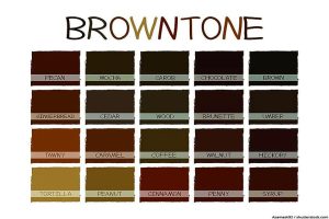 Brauntöne – Entdecke die gesamte Farbpalette von Braun