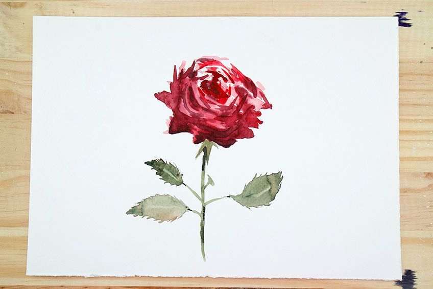 Rose Watercolor Techniques