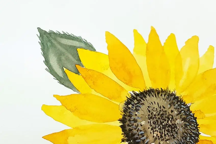 Watercolor Paint Sunflower