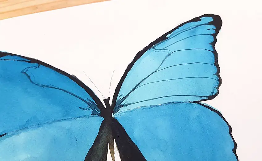 Easy Butterfly Painting 5