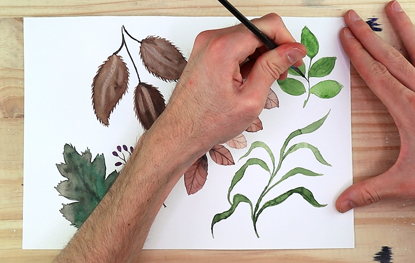 Easy Watercolor Plants 6c