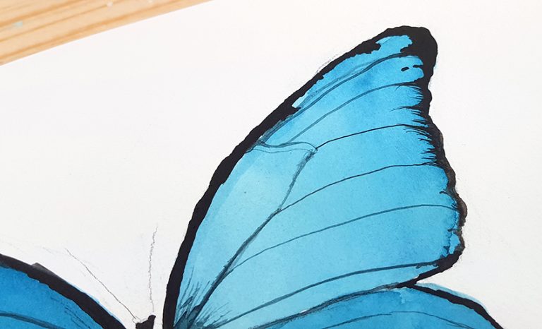 How to Paint a Watercolor Butterfly - Create A Beautiful Butterfly