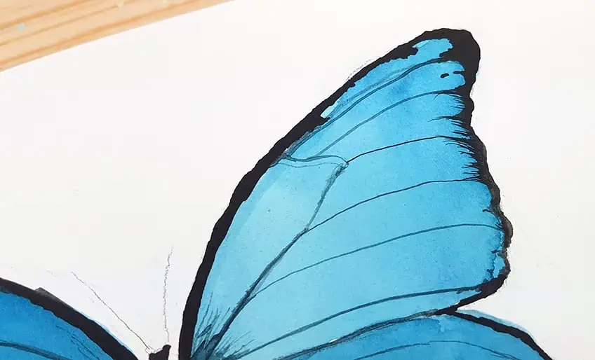 Painting Butterflies in Watercolor 6