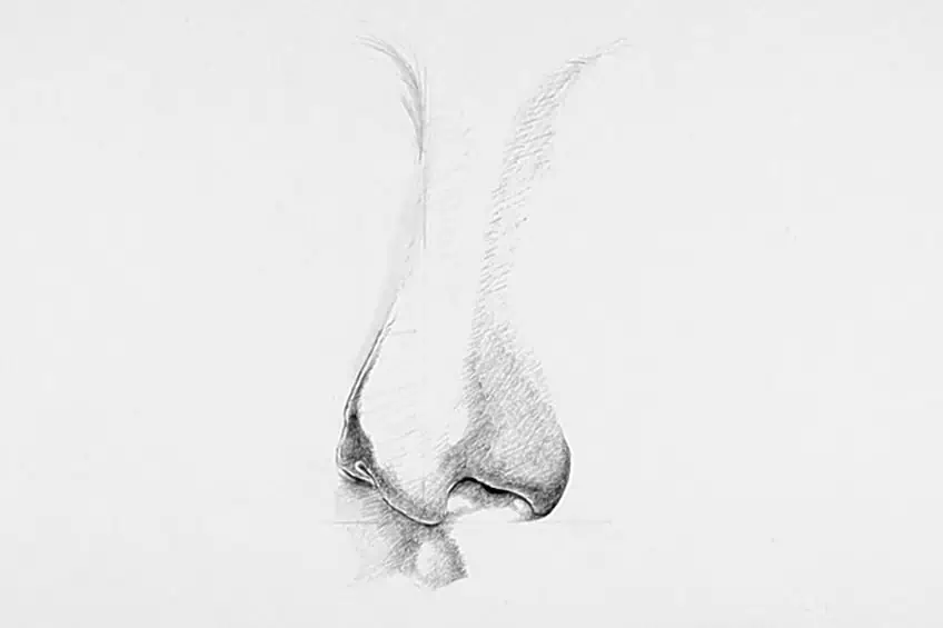 drawing noses 07