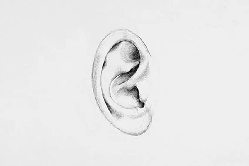 ear drawing 12