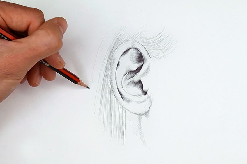 ear drawing 13