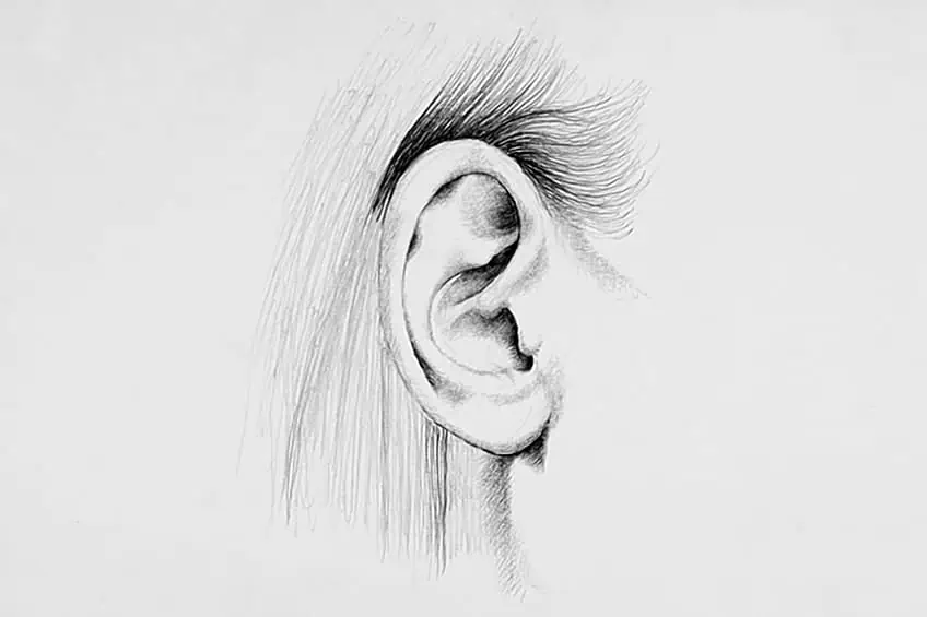 ear sketches 16