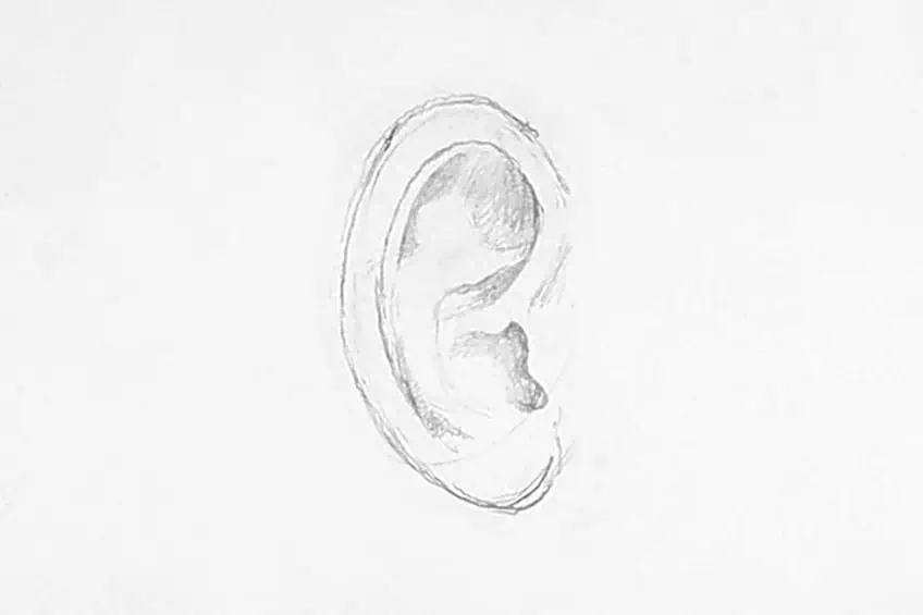 Рисунок человеческого уха 04