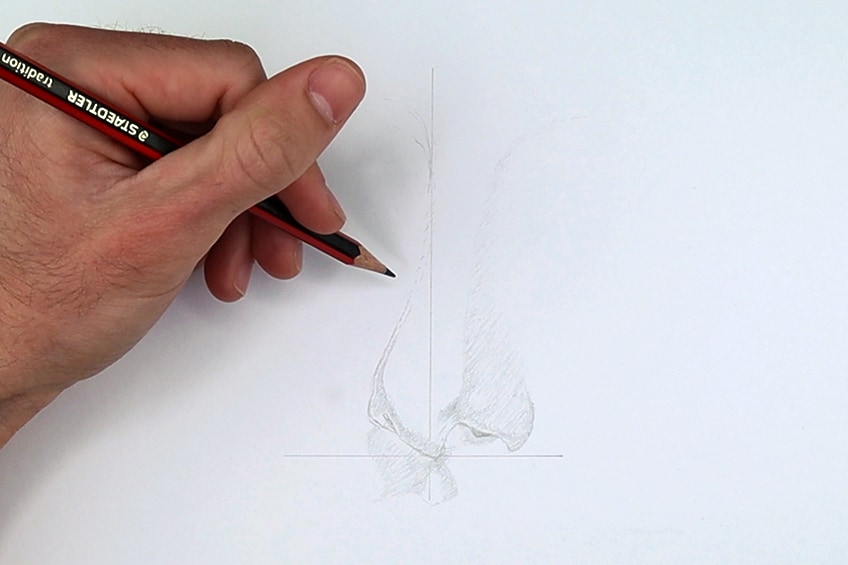 nose drawing 03