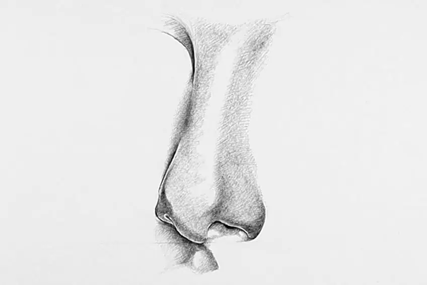 nose sketch 12