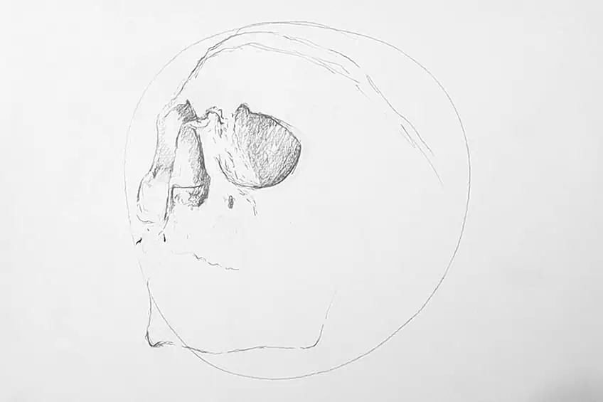 Рисунок черепа 03