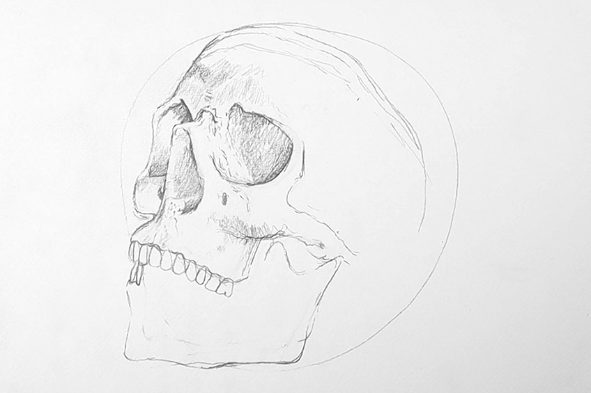 Рисунок черепа 07