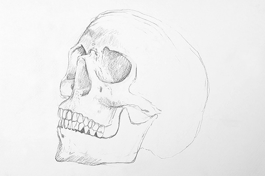skull drawing 08