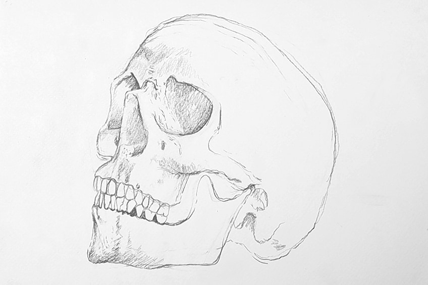 skull drawing 09