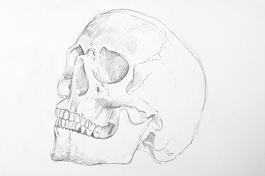 Рисунок черепа 10