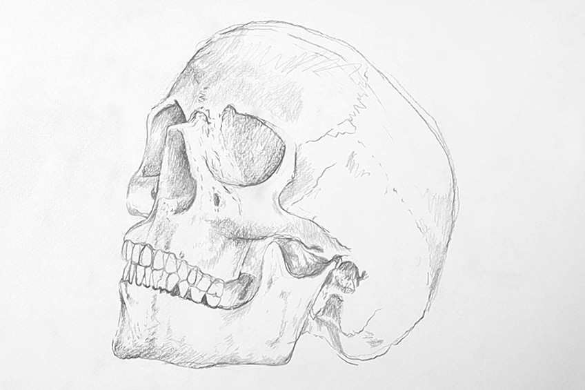 skull drawing 11