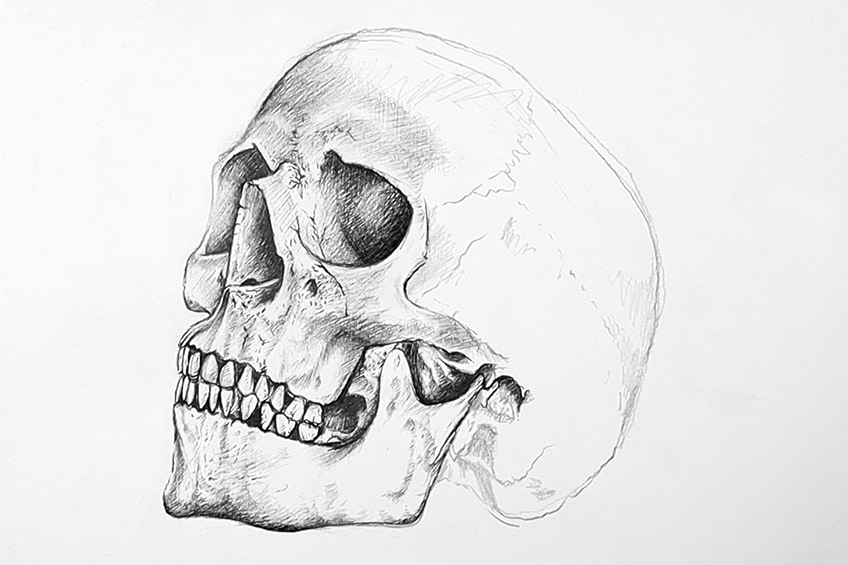 Рисунок черепа 18