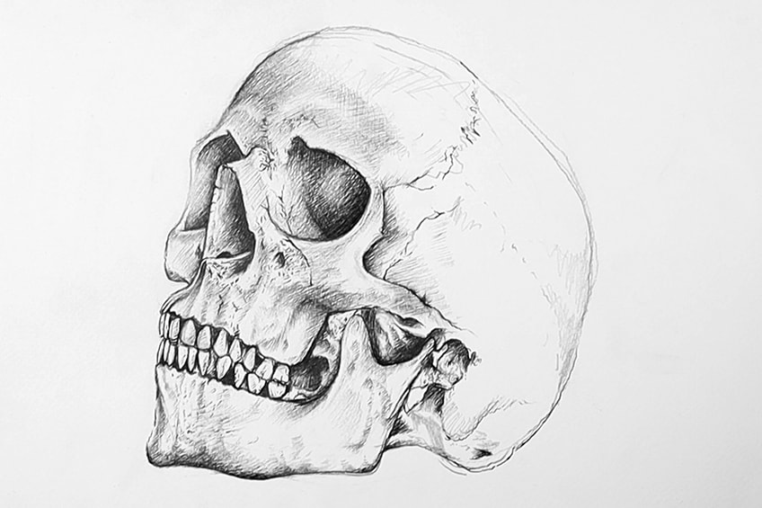 skull drawing 20