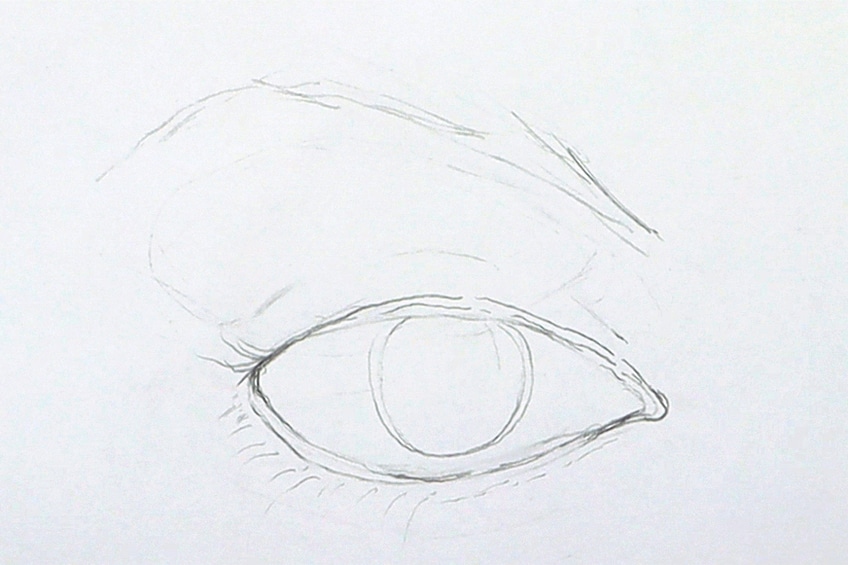 Drawing Eyebrows 1b