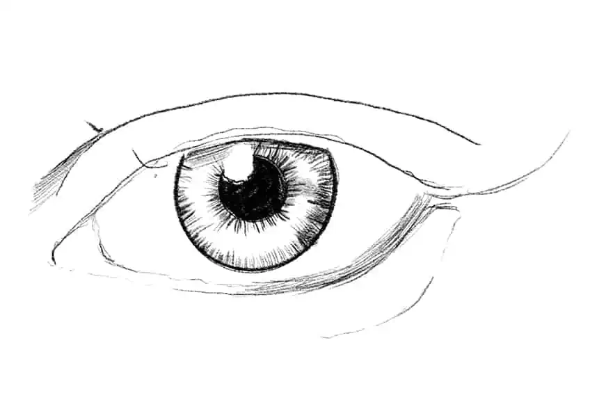 Drawing Eyelashes 1c