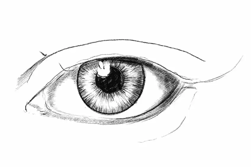 Drawing Eyelashes 1d