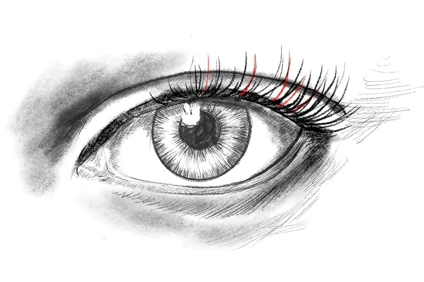 Drawing Eyelashes 3c