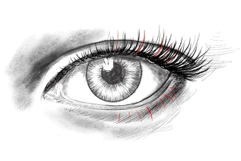 Drawing Eyelashes 4