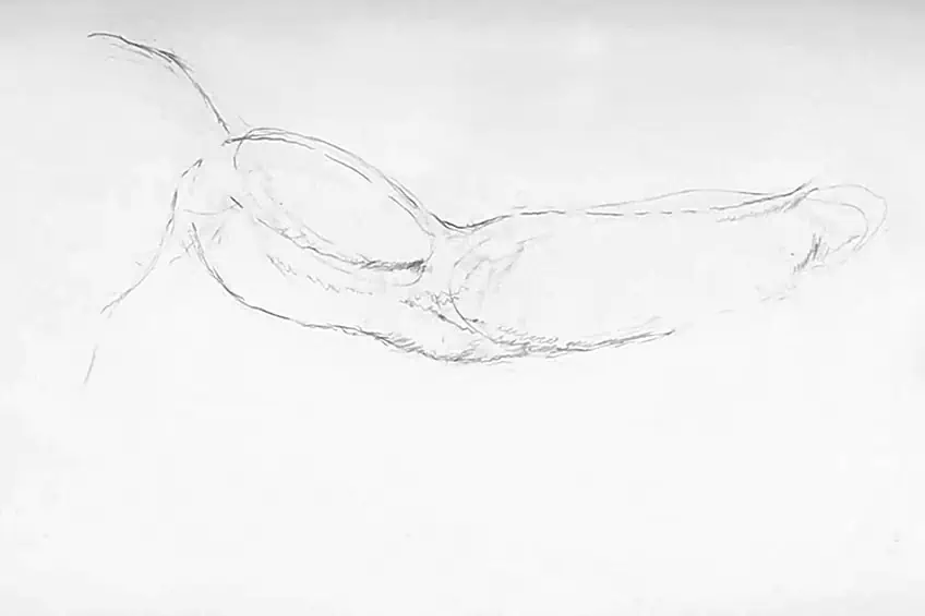 Male Arm Drawing 1b
