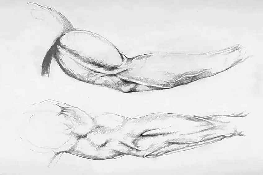 Male Arm Drawing 9