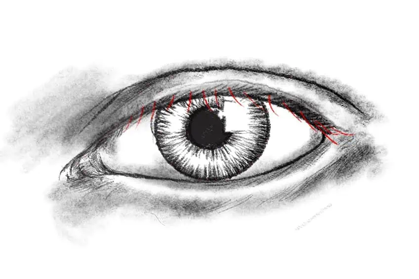 Sketching Eyelashes 3