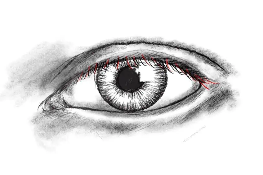 Sketching Eyelashes 3b