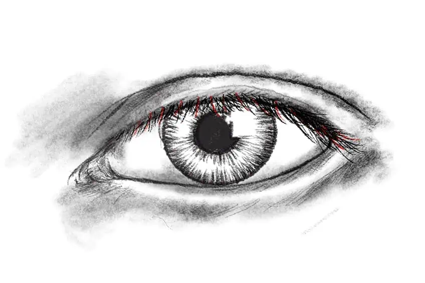 Sketching Eyelashes 3d