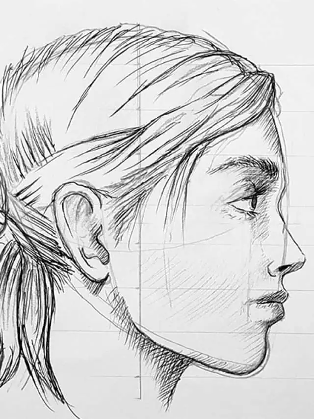 How to Draw a Side Profile – The Realistic Way