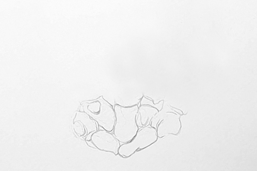 Hand Bones Sketch 1