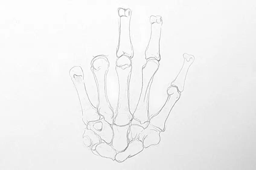 Hand Bones Sketch 1b