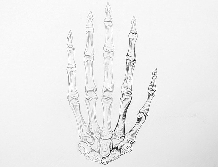 Hand Bones Sketch 3