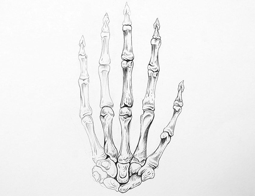 Hand Bones Sketch 3b