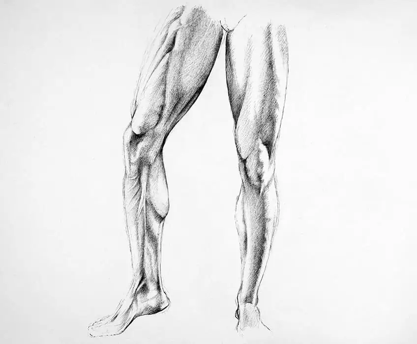Как нарисовать мужские ноги