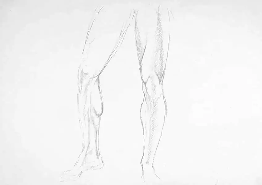 Male Legs 3
