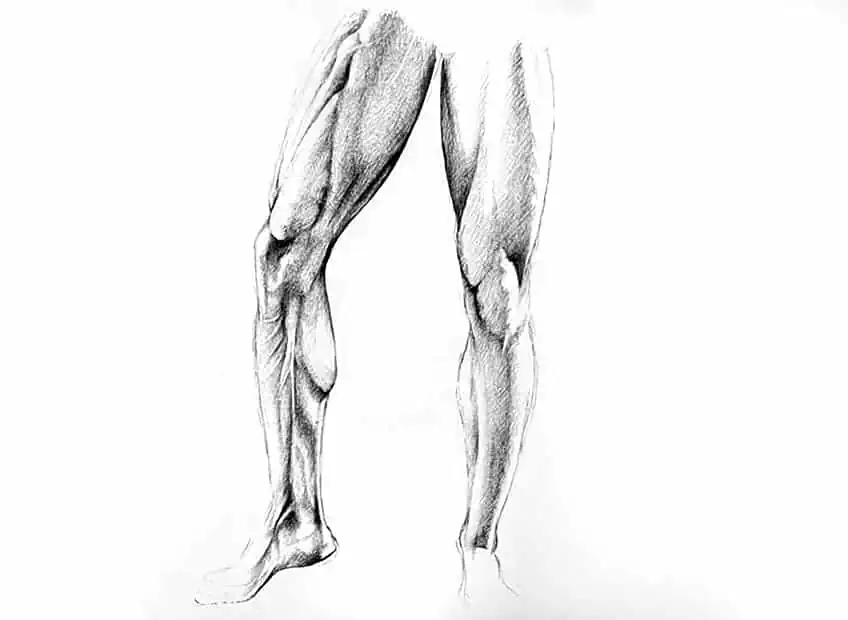 Male Legs 8b
