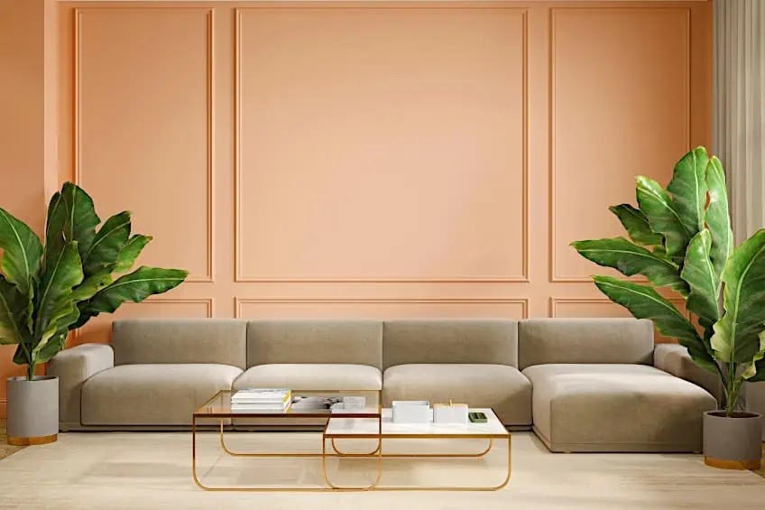 Peach Interior with Green and Gray
