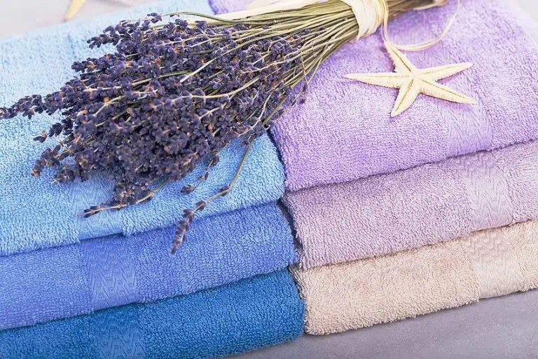 Lavendel Farbe – EntdeckeLavendeltöne für deiner Kunst